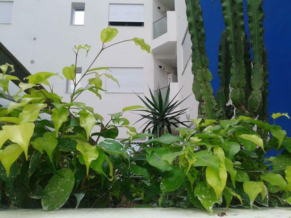 Le Lagon De Hammamet Camera foto