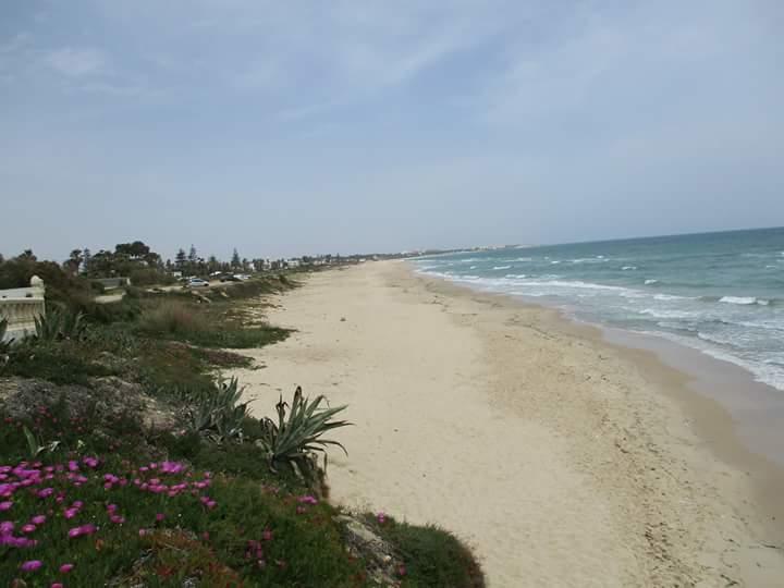 Le Lagon De Hammamet Esterno foto